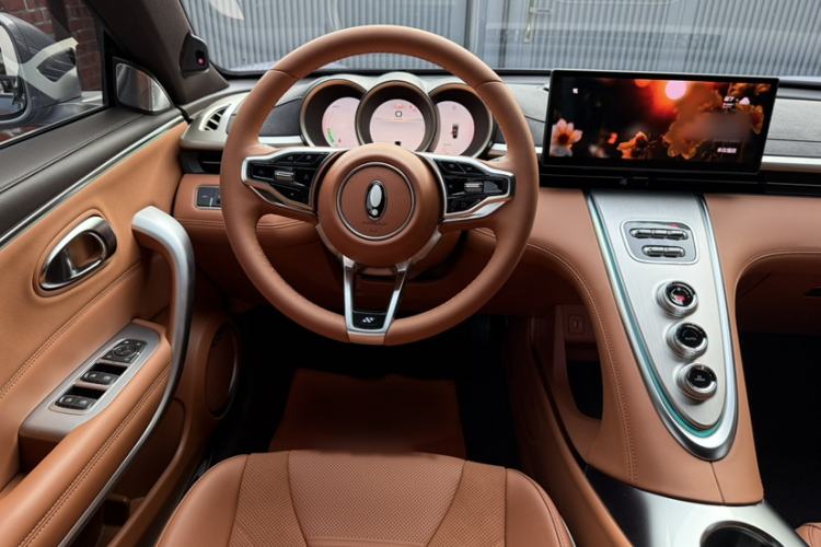 Used ORA Lightning Cat 2022 555 km Luxury Edition Steering Wheel