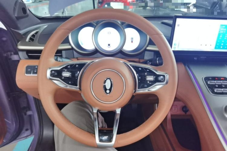 Used ORA Lightning Cat 2022 555 km Luxury Edition Steering Wheel