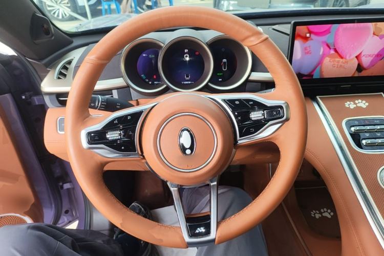 Used ORA Lightning Cat 2022 555 km Luxury Edition Steering Wheel