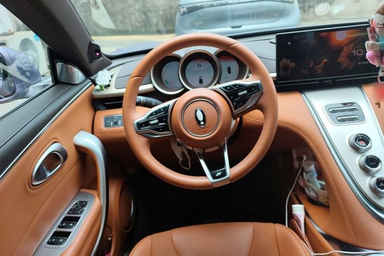 Used ORA Lightning Cat 2022 555 km Luxury Edition Steering Wheel
