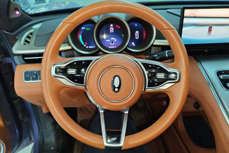 Used ORA Lightning Cat 2022 555 km Luxury Edition Steering Wheel