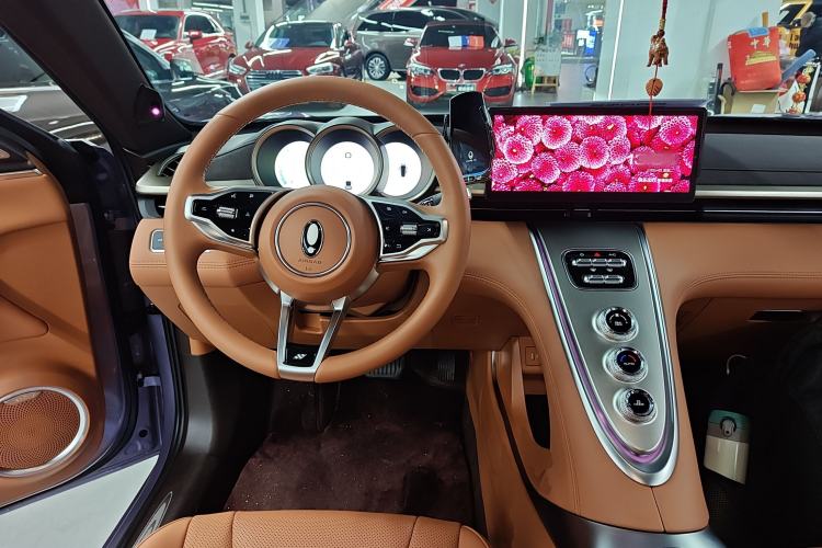 Used ORA Lightning Cat 2022 555 km Luxury Edition Steering Wheel
