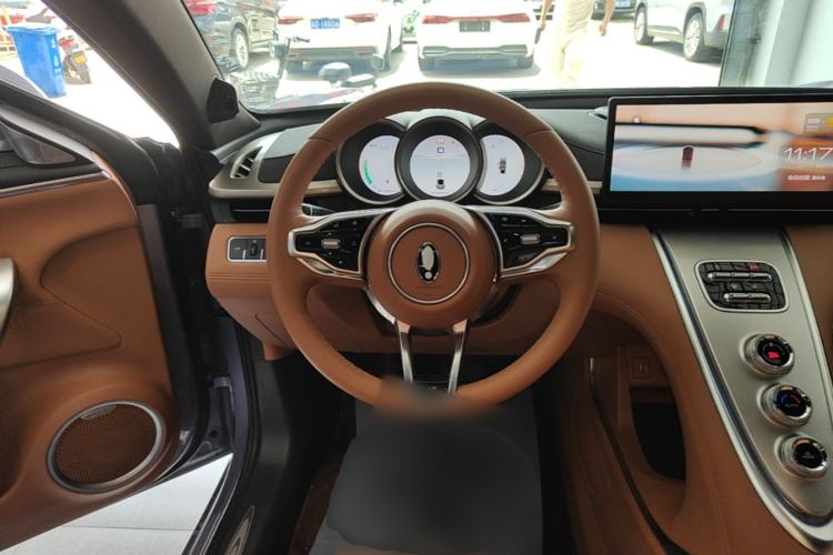 Used ORA Lightning Cat 2022 555 km Luxury Edition Steering Wheel