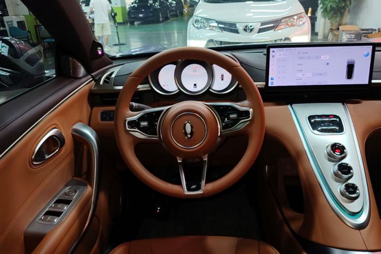 Used ORA Lightning Cat 2022 555 km Luxury Edition Steering Wheel