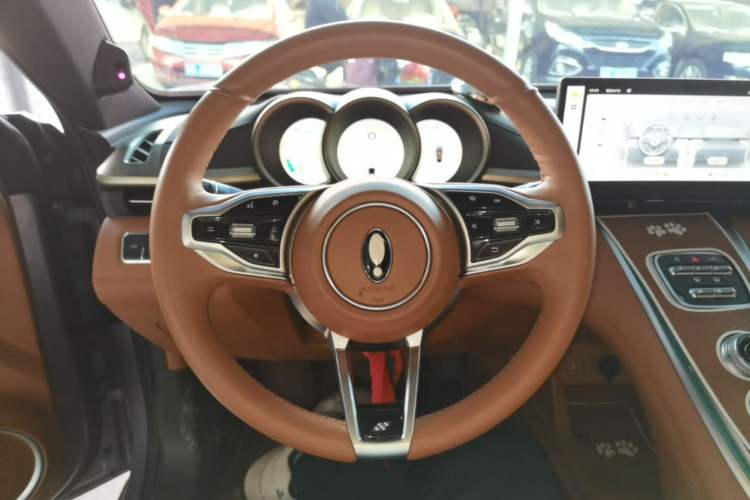 Used ORA Lightning Cat 2022 555 km Luxury Edition Steering Wheel