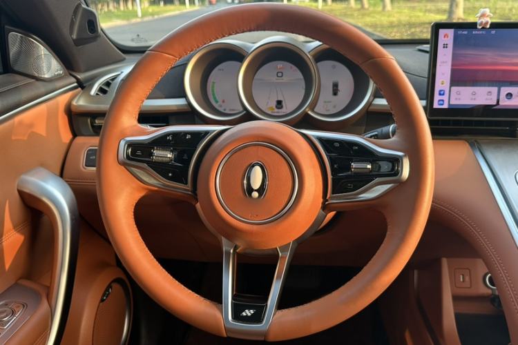 Used ORA Lightning Cat 2022 555 km Luxury Edition Steering Wheel