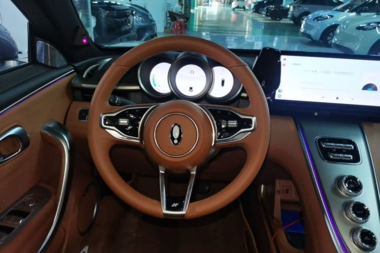 Used ORA Lightning Cat 2022 555 km Luxury Edition Steering Wheel