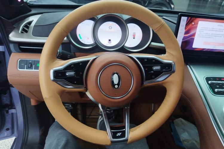 Used ORA Lightning Cat 2022 555 km Luxury Edition Steering Wheel