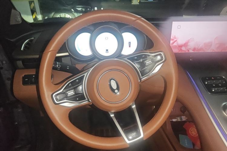 Used ORA Lightning Cat 2022 555 km Luxury Edition Steering Wheel