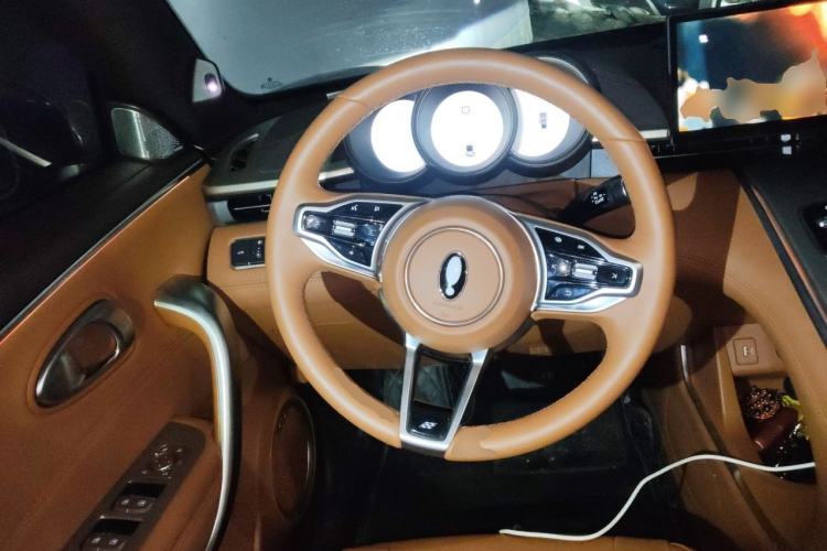 Used ORA Lightning Cat 2022 555 km Luxury Edition Steering Wheel
