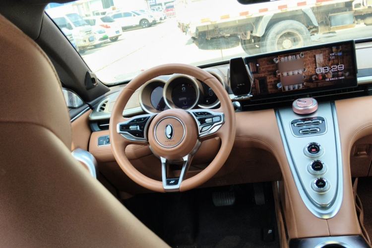 Used ORA Lightning Cat 2022 555 km Luxury Edition Steering Wheel