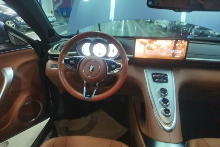 Used ORA Lightning Cat 2022 555 km Luxury Edition Steering Wheel