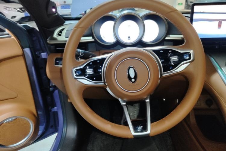 Used ORA Lightning Cat 2022 555 km Luxury Edition Steering Wheel