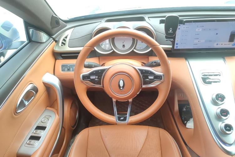 Used ORA Lightning Cat 2022 555 km Luxury Edition Steering Wheel