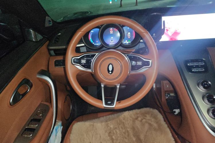 Used ORA Lightning Cat 2022 555 km Luxury Edition Steering Wheel