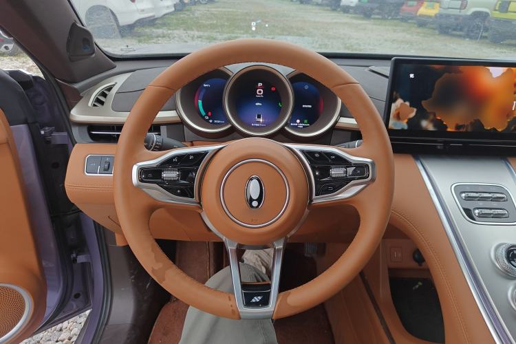 Used ORA Lightning Cat 2022 555 km Luxury Edition Steering Wheel