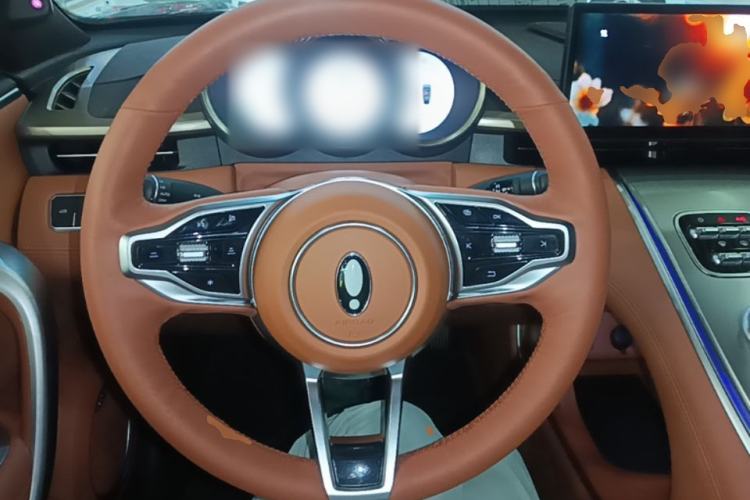 Used ORA Lightning Cat 2022 705 km Long-Range Version Steering Wheel