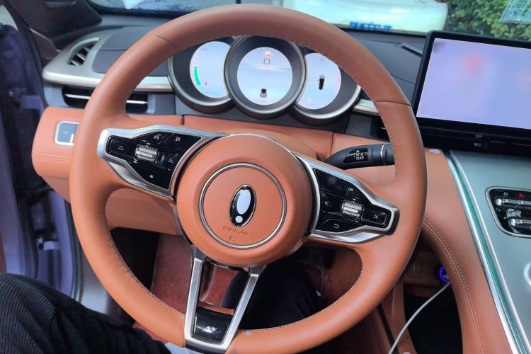 Used ORA Lightning Cat 2022 555 km Luxury Edition Steering Wheel