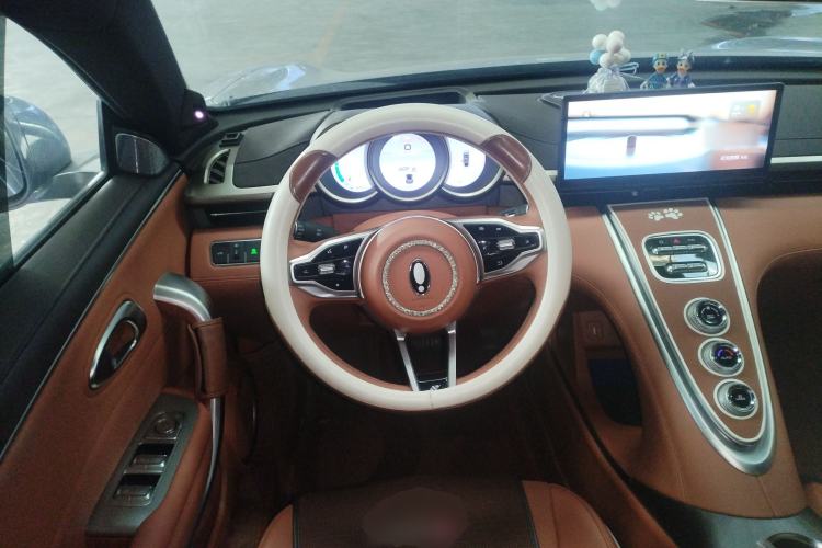Used ORA Lightning Cat 2022 555 km Luxury Edition Steering Wheel