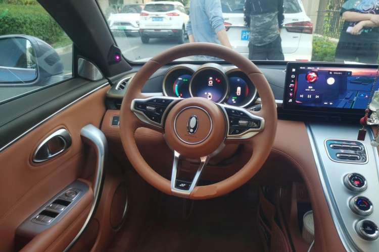 Used ORA Lightning Cat 2022 555 km Luxury Edition Steering Wheel
