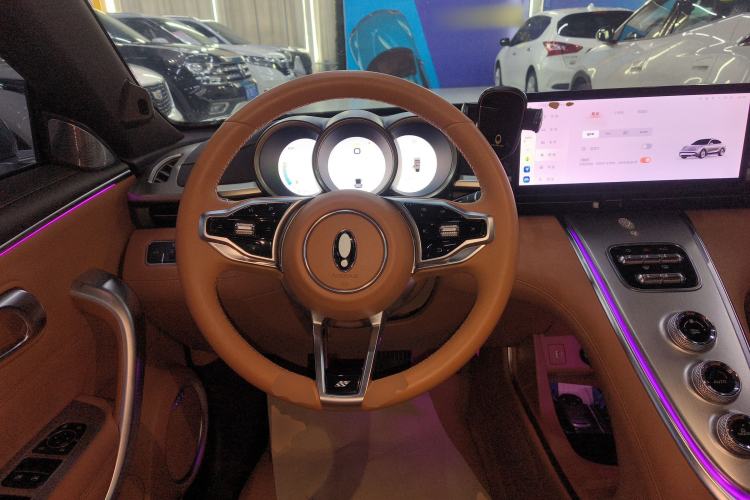 Used ORA Lightning Cat 2022 555 km Luxury Edition Steering Wheel