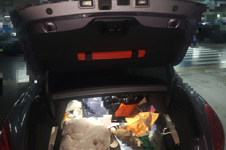 Used ORA Lightning Cat 2022 555 km Luxury Edition Trunk