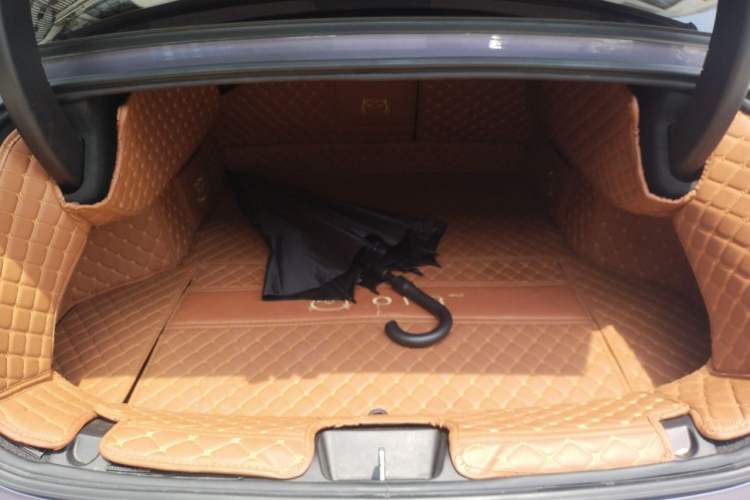 Used ORA Lightning Cat 2022 555 km Luxury Edition Trunk
