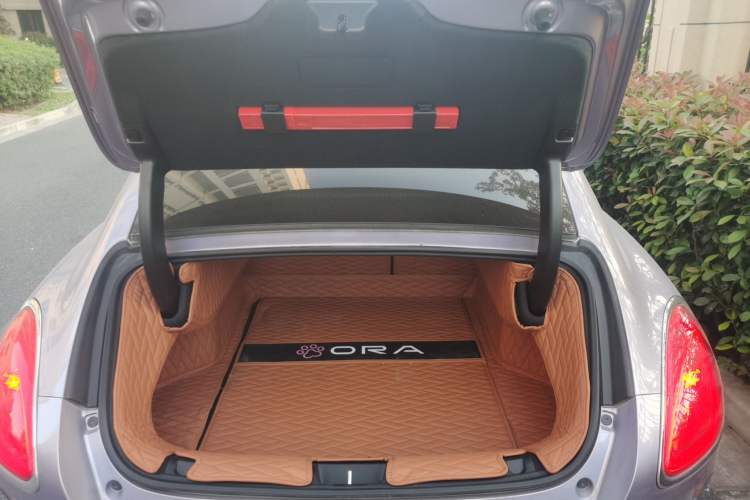 Used ORA Lightning Cat 2022 555 km Luxury Edition Trunk