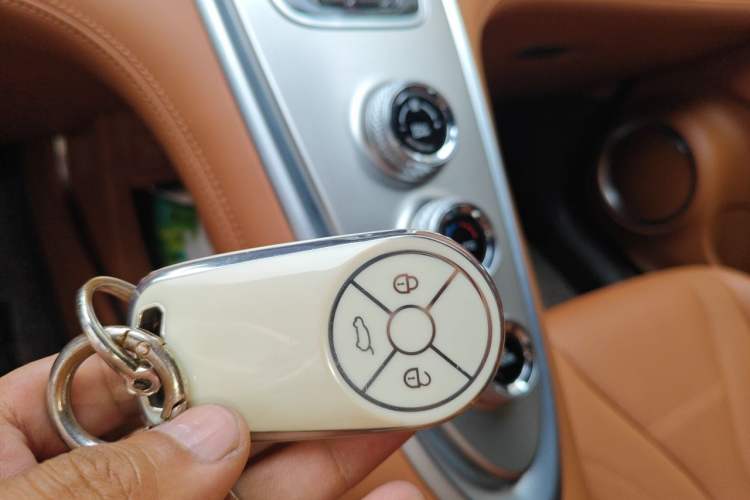 Used ORA Lightning Cat 2022 555 km Luxury Edition Vehicle Key