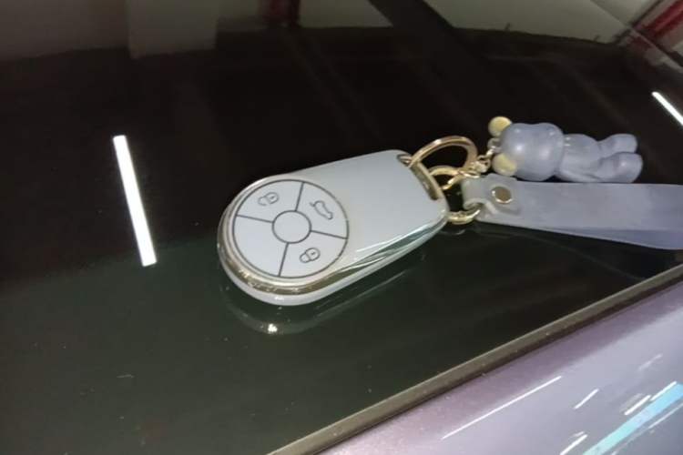 Used ORA Lightning Cat 2022 555 km Luxury Edition Vehicle Key