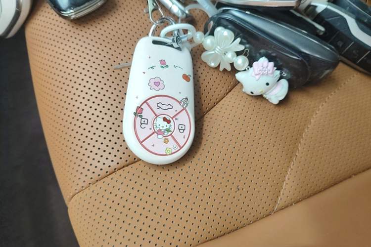 Used ORA Lightning Cat 2022 555 km Luxury Edition Vehicle Key