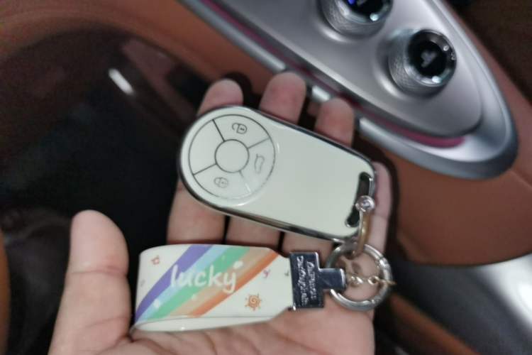 Used ORA Lightning Cat 2022 555 km Luxury Edition Vehicle Key