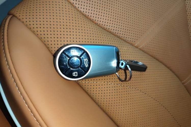 Used ORA Lightning Cat 2022 555 km Luxury Edition Vehicle Key