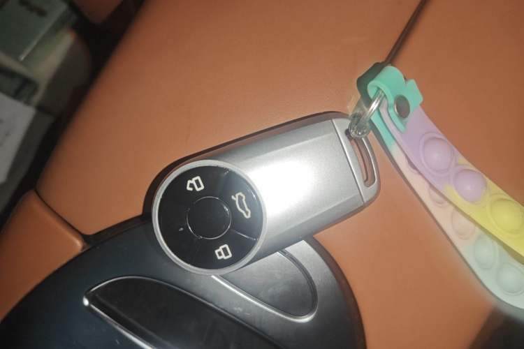 Used ORA Lightning Cat 2022 555 km Luxury Edition Vehicle Key