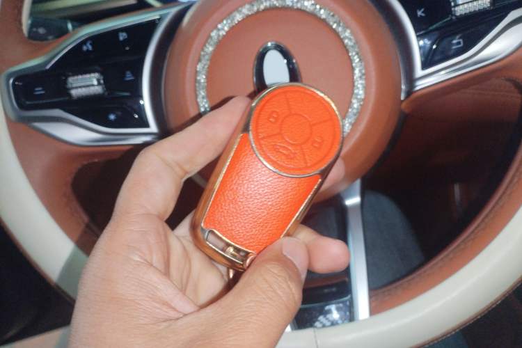 Used ORA Lightning Cat 2022 555 km Luxury Edition Vehicle Key