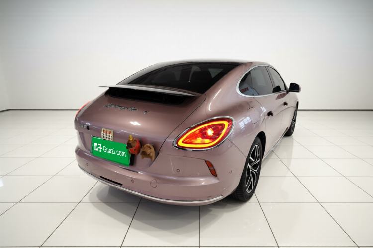 Used ORA Lightning Cat 2022 555 km Luxury Edition Rear Right 45 Deg