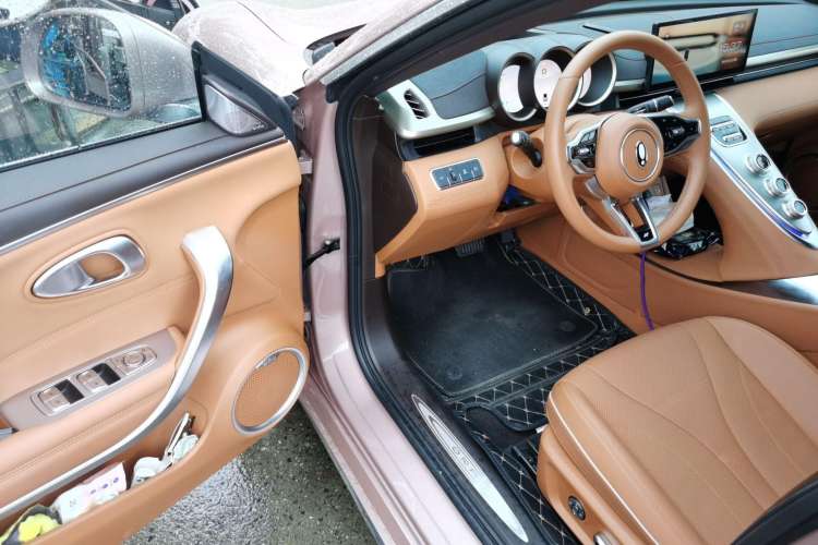 Used ORA Lightning Cat 2022 555 km Luxury Edition Driver Seat