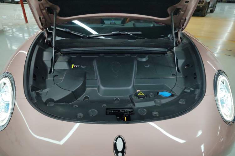 Used ORA Lightning Cat 2022 555 km Luxury Edition Engine Bay