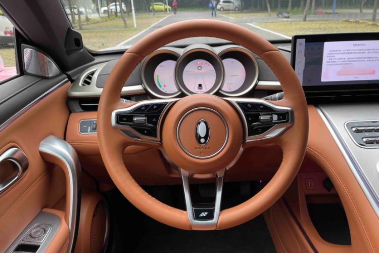 Used ORA Lightning Cat 2022 555 km Luxury Edition Interior 2