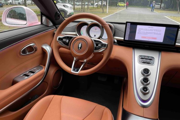 Used ORA Lightning Cat 2022 555 km Luxury Edition Interior 4