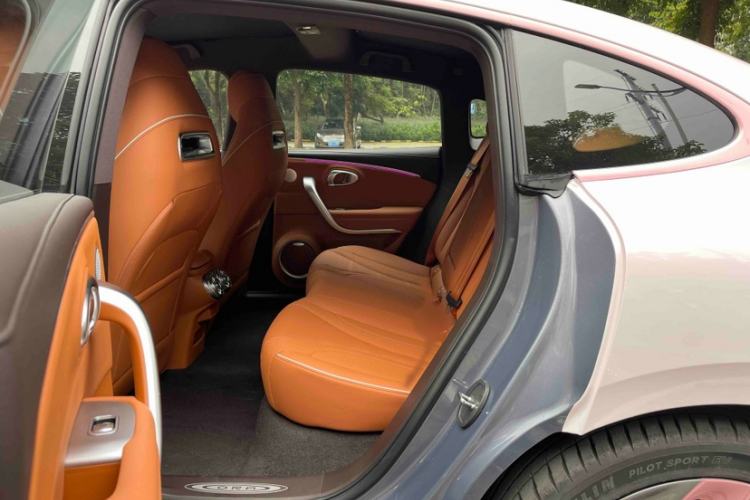 Used ORA Lightning Cat 2022 555 km Luxury Edition Interior 5