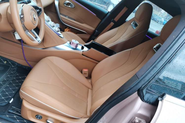 Used ORA Lightning Cat 2022 555 km Luxury Edition Left Front Seat