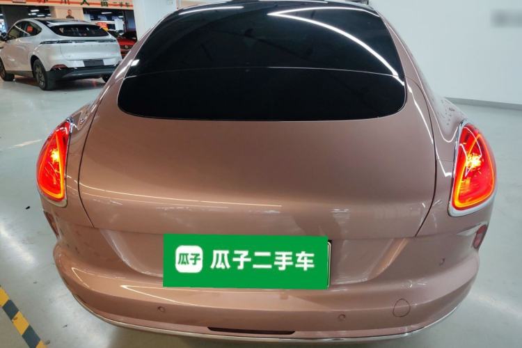 Used ORA Lightning Cat 2022 555 km Luxury Edition Rear