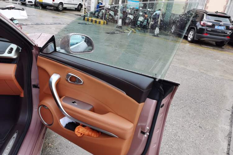 Used ORA Lightning Cat 2022 555 km Luxury Edition Right Front Door Interior
