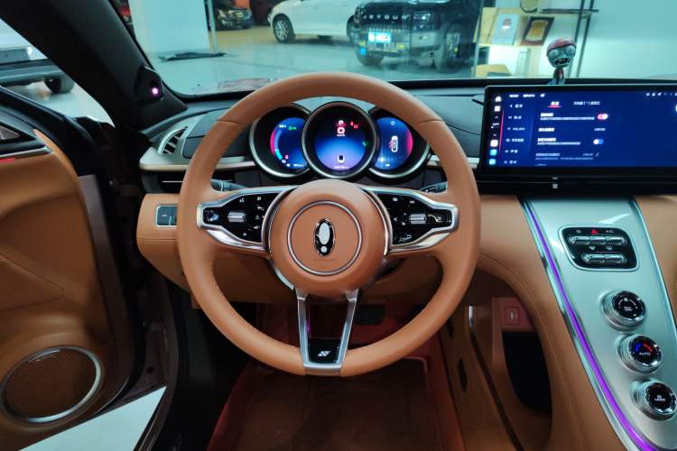 Used ORA Lightning Cat 2022 555 km Luxury Edition Steering Wheel