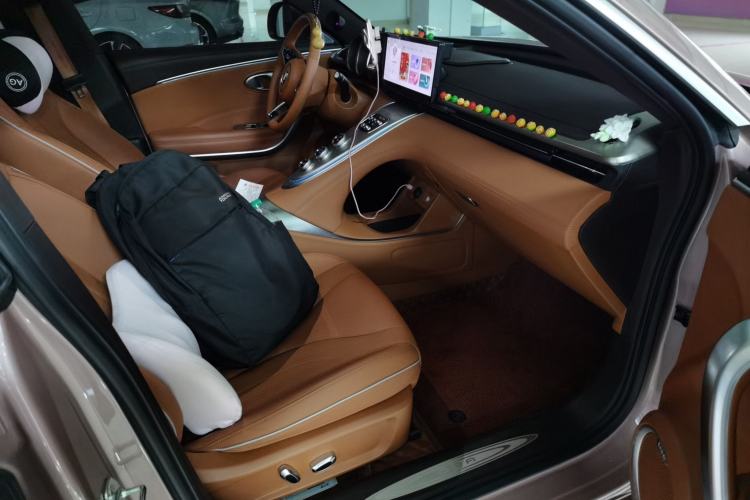 Used ORA Lightning Cat 2022 555 km Luxury Edition Right Front Seat