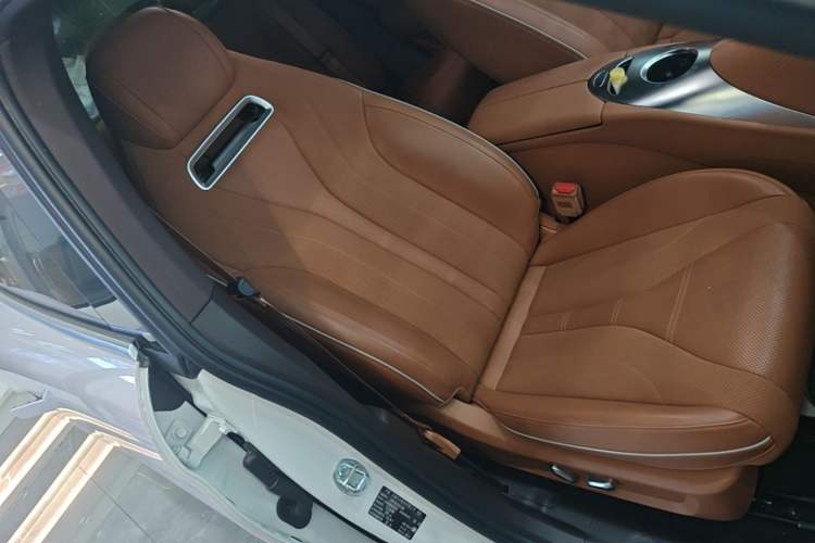 Used ORA Lightning Cat 2022 555 km Luxury Edition Right Front Seat