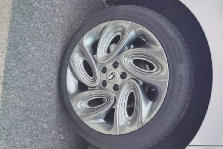 Used ORA Lightning Cat 2022 555 km Luxury Edition Right Rear Wheel Hub
