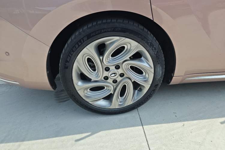 Used ORA Lightning Cat 2022 555 km Luxury Edition Right Rear Wheel Hub