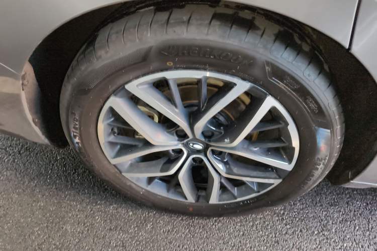 Used ORA Lightning Cat 2022 555 km Luxury Edition Exterior 5